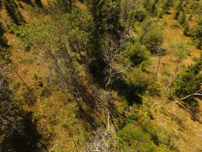 CORKY GOLD Placer Mining Claim, Trout Creek, Beaverhead County, Montana
