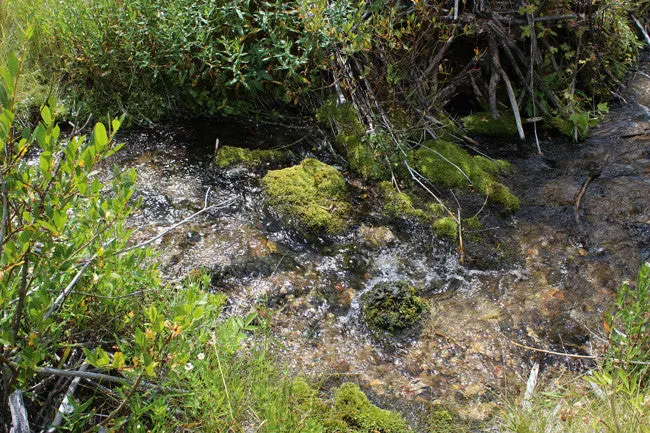 CORKY GOLD Placer Mining Claim, Trout Creek, Beaverhead County, Montana