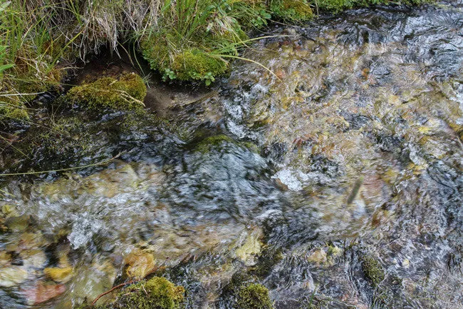 CORKY GOLD Placer Mining Claim, Trout Creek, Beaverhead County, Montana