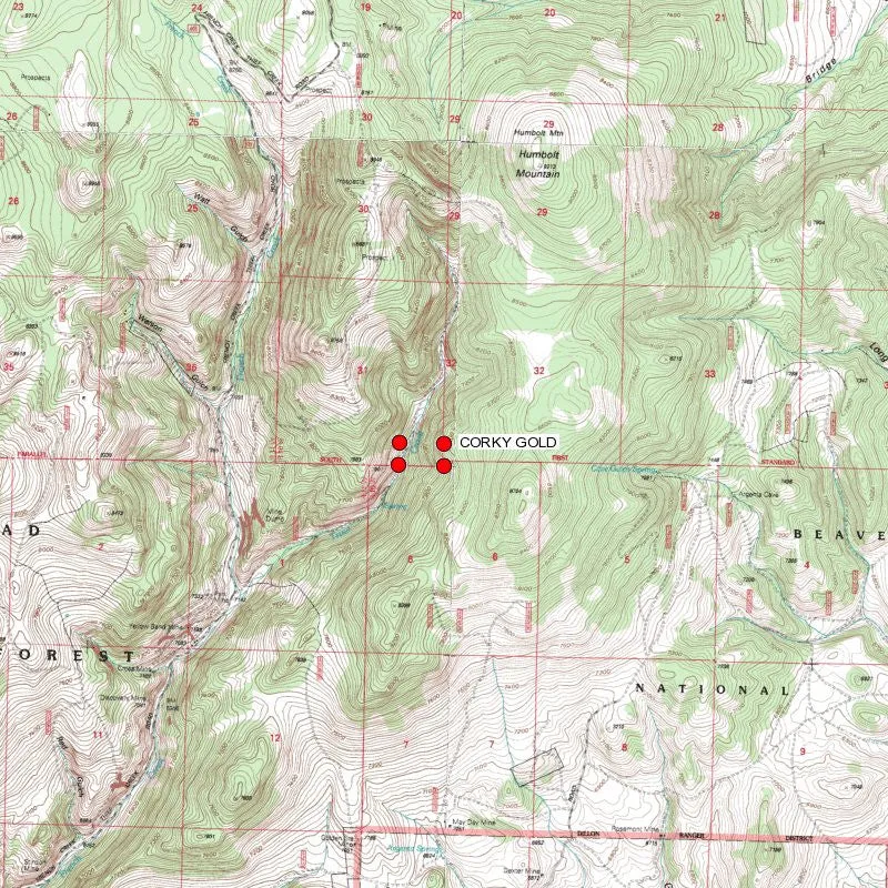 CORKY GOLD Placer Mining Claim, Trout Creek, Beaverhead County, Montana