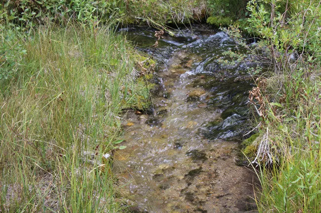 CORKY GOLD Placer Mining Claim, Trout Creek, Beaverhead County, Montana