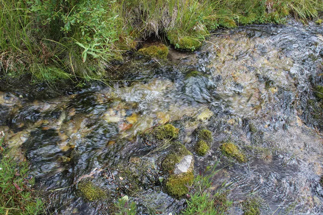 CORKY GOLD Placer Mining Claim, Trout Creek, Beaverhead County, Montana