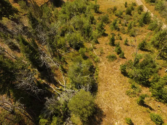 CORKY GOLD Placer Mining Claim, Trout Creek, Beaverhead County, Montana