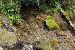 CORKY GOLD Placer Mining Claim, Trout Creek, Beaverhead County, Montana